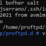 3_-_connect_to_salt_and_vim.png